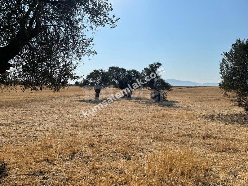 Land of 26255.75 m2 for sale in Famagusta Geçitkale