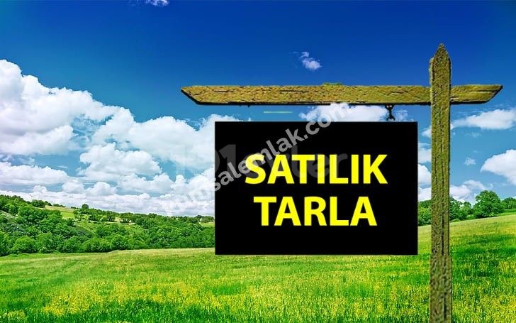 Güzelyurt Gaziveren'de Satılık 4 Dönüm 2100 Ayakkare Tarla