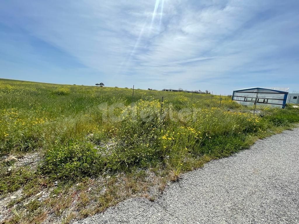 LAND FOR SALE IN MERICLI LEFKOŞA