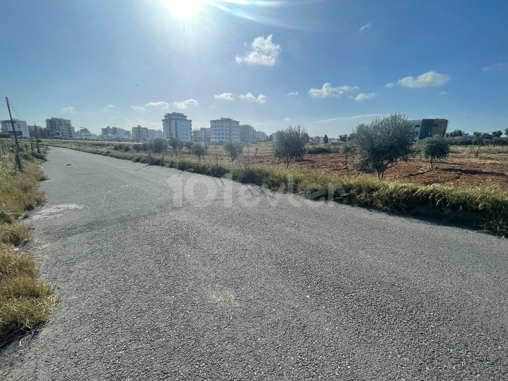 LAND FOR SALE ON THE MAIN ROAD IN CUSA REGION