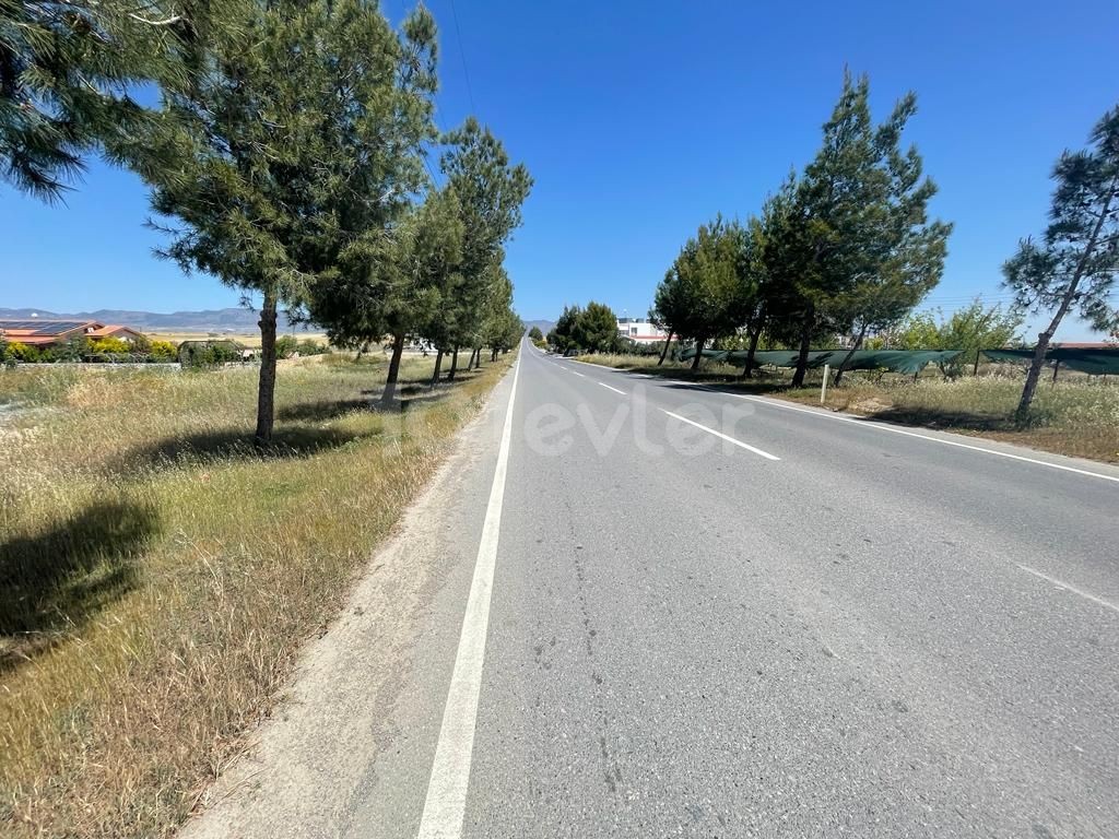  GRUNDSTÜCK AN DER LEFKOŞA ALAYKÖY AUTOBAHN ZU VERKAUFEN