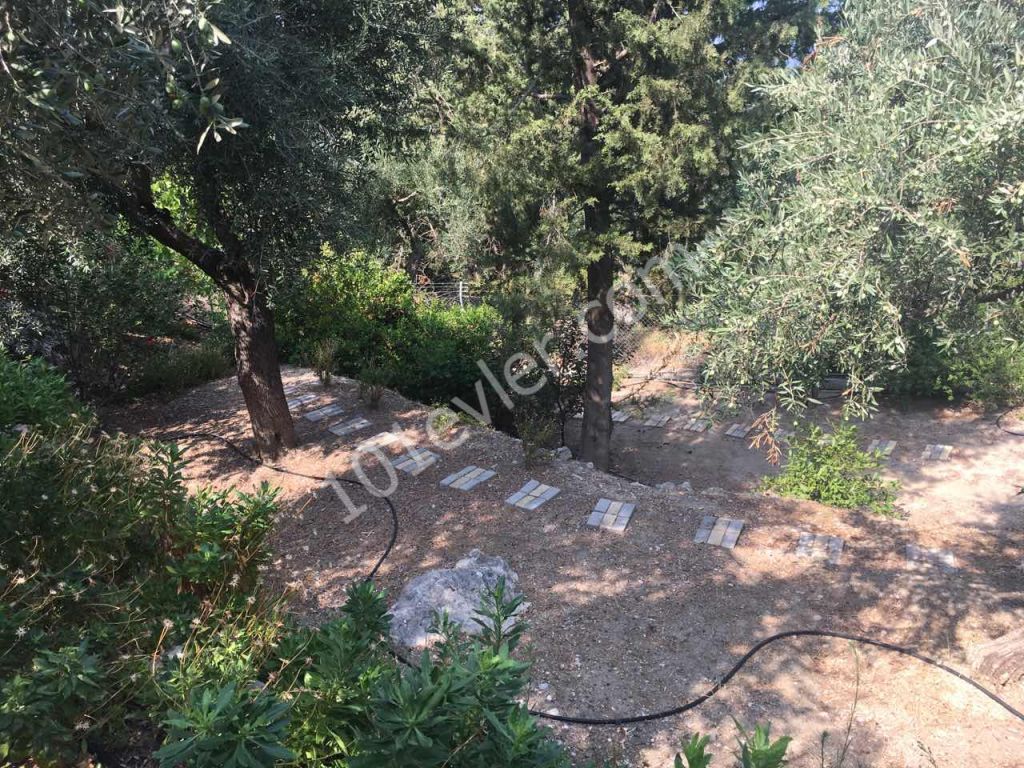 Villa For Sale in Alsancak, Kyrenia