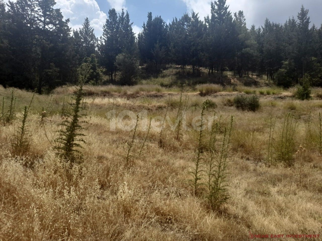 Land for sale in Lapta area