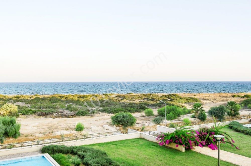 Seafront Studio apartment with amazing sea view, LIMITED SPECIAL OFFER