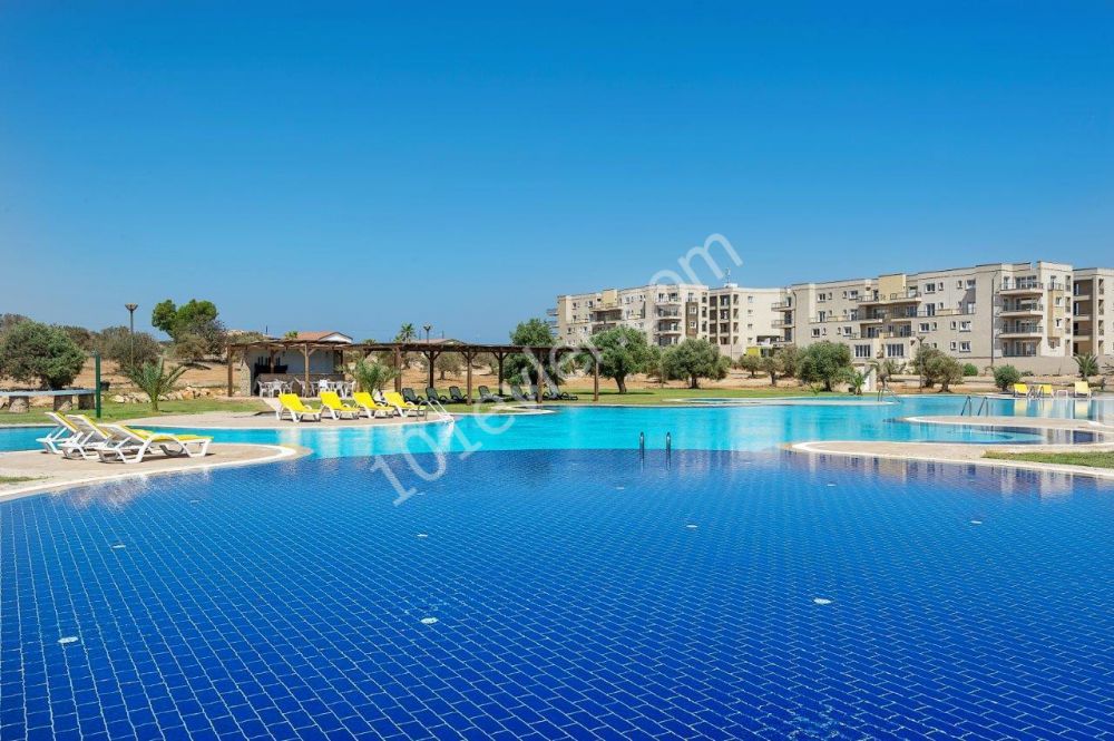 Seafront Studio apartment with amazing sea view, LIMITED SPECIAL OFFER