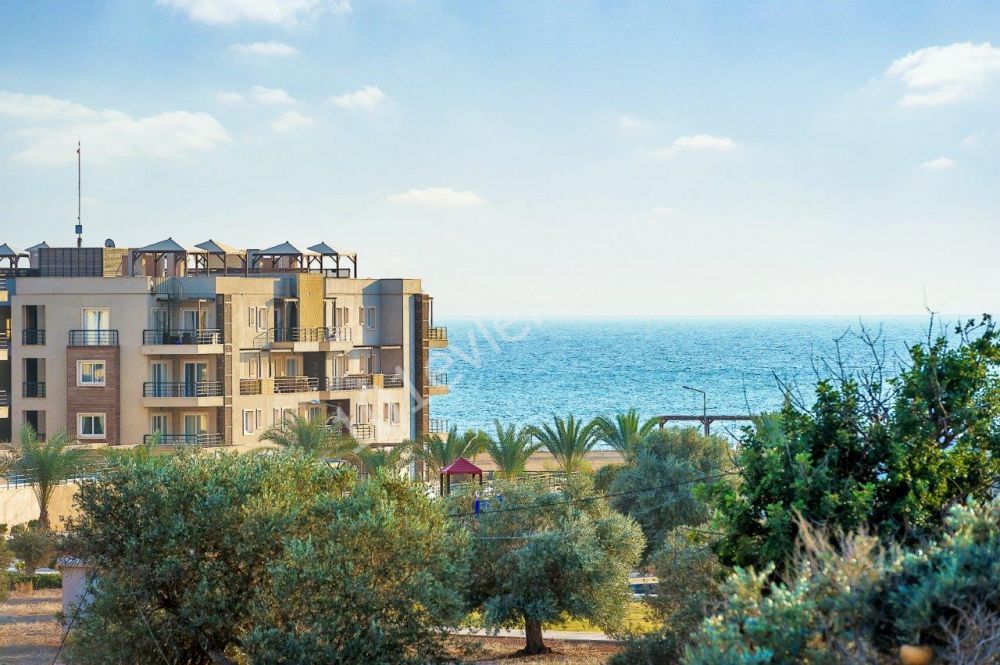 Seafront Studio apartment with amazing sea view, LIMITED SPECIAL OFFER