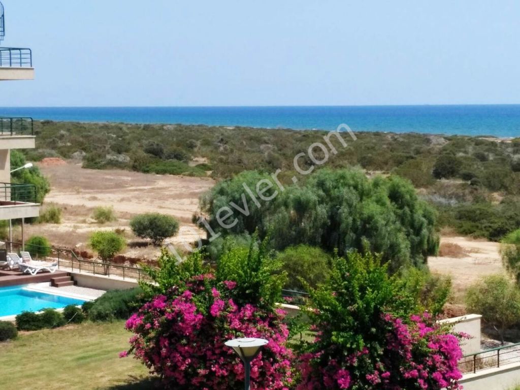 Seafront Studio apartment with amazing sea view, LIMITED SPECIAL OFFER