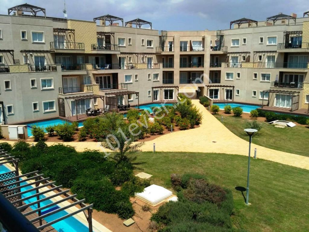 Seafront Studio apartment with amazing sea view, LIMITED SPECIAL OFFER