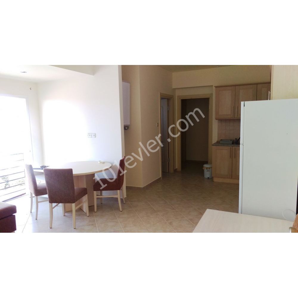 1 bedroom apartment for long term rental in Bogaz, monthly payments