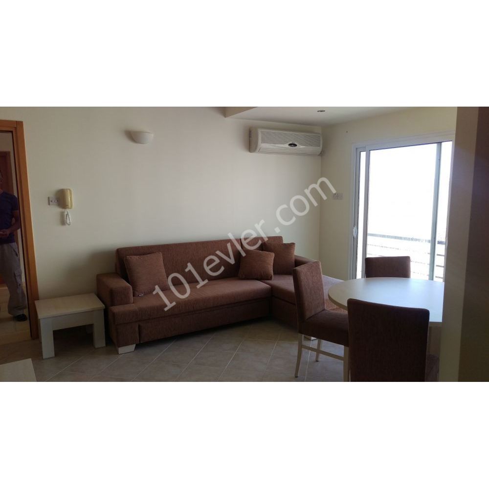 1 bedroom apartment for long term rental in Bogaz, monthly payments