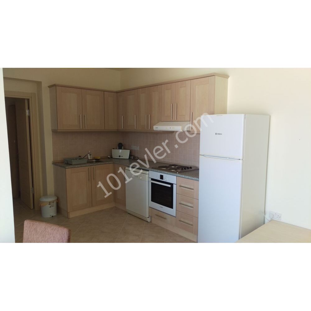 1 bedroom apartment for long term rental in Bogaz, monthly payments