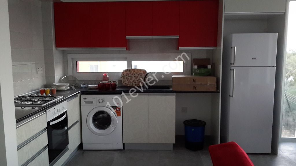 daüye yürüyüş mesafesinde kiralık lüx daire