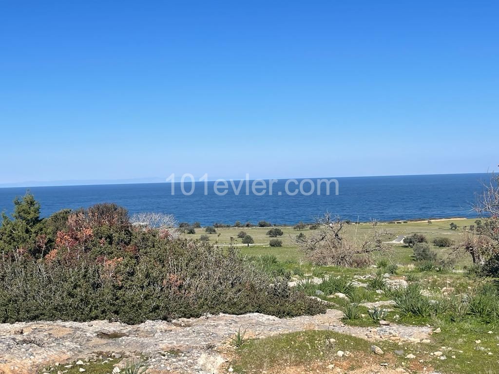 10 Donum Plot of Land in Bahceli