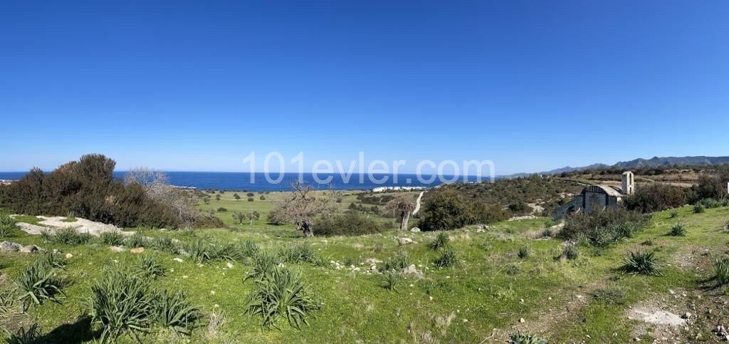 10 Donum Plot of Land in Bahceli