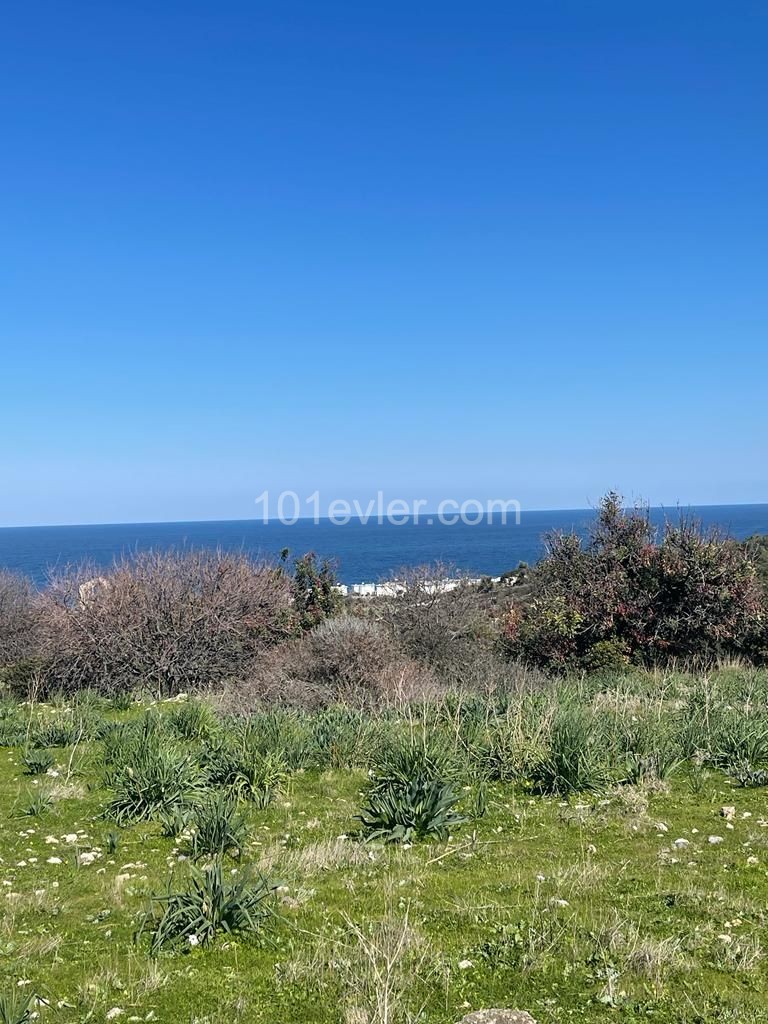 10 Donum Plot of Land in Bahceli