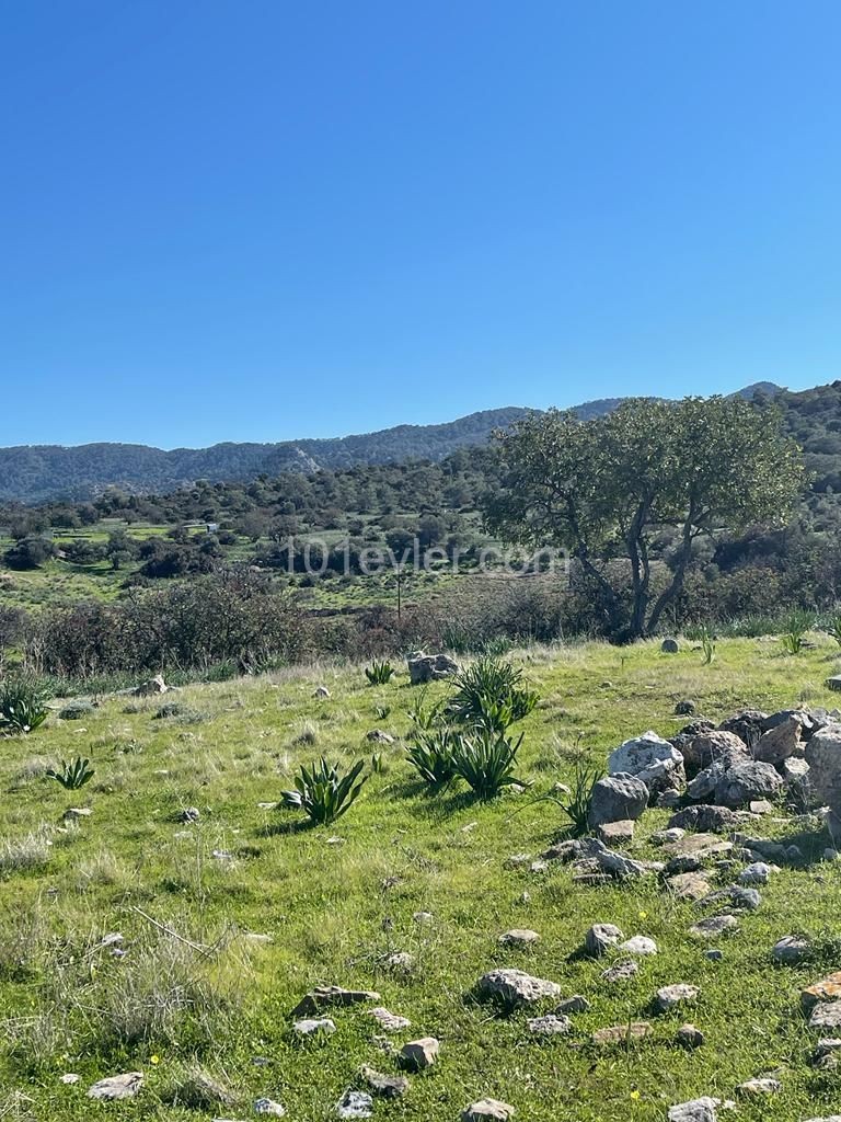 10 Donum Plot of Land in Bahceli