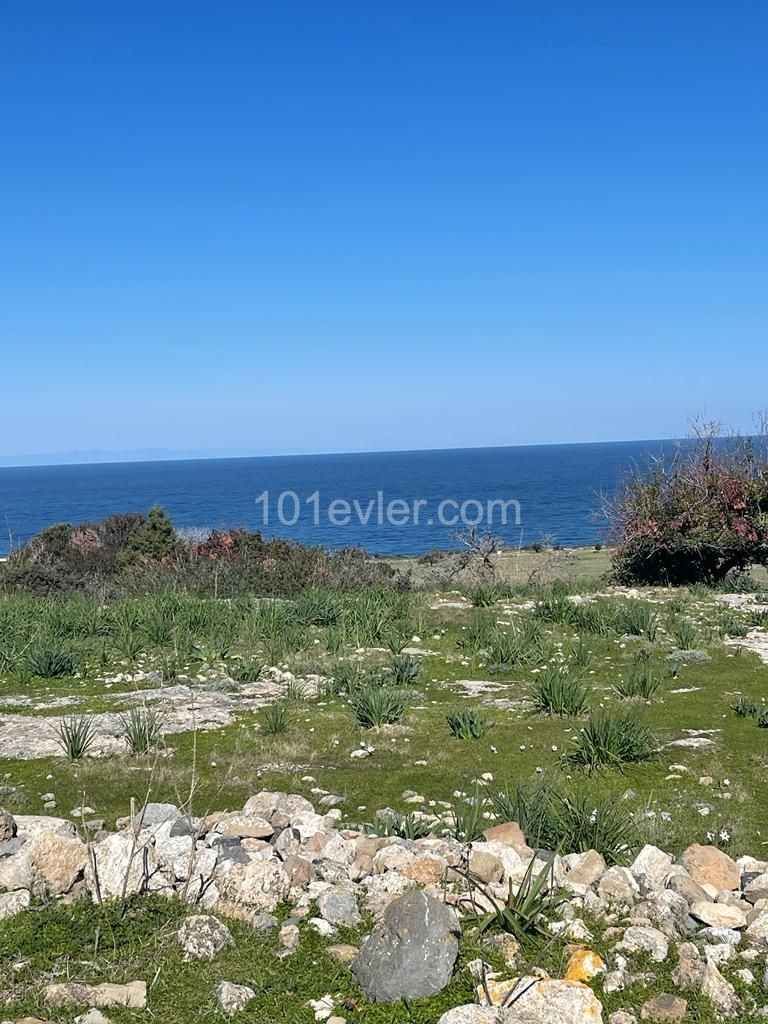 10 Donum Plot of Land in Bahceli