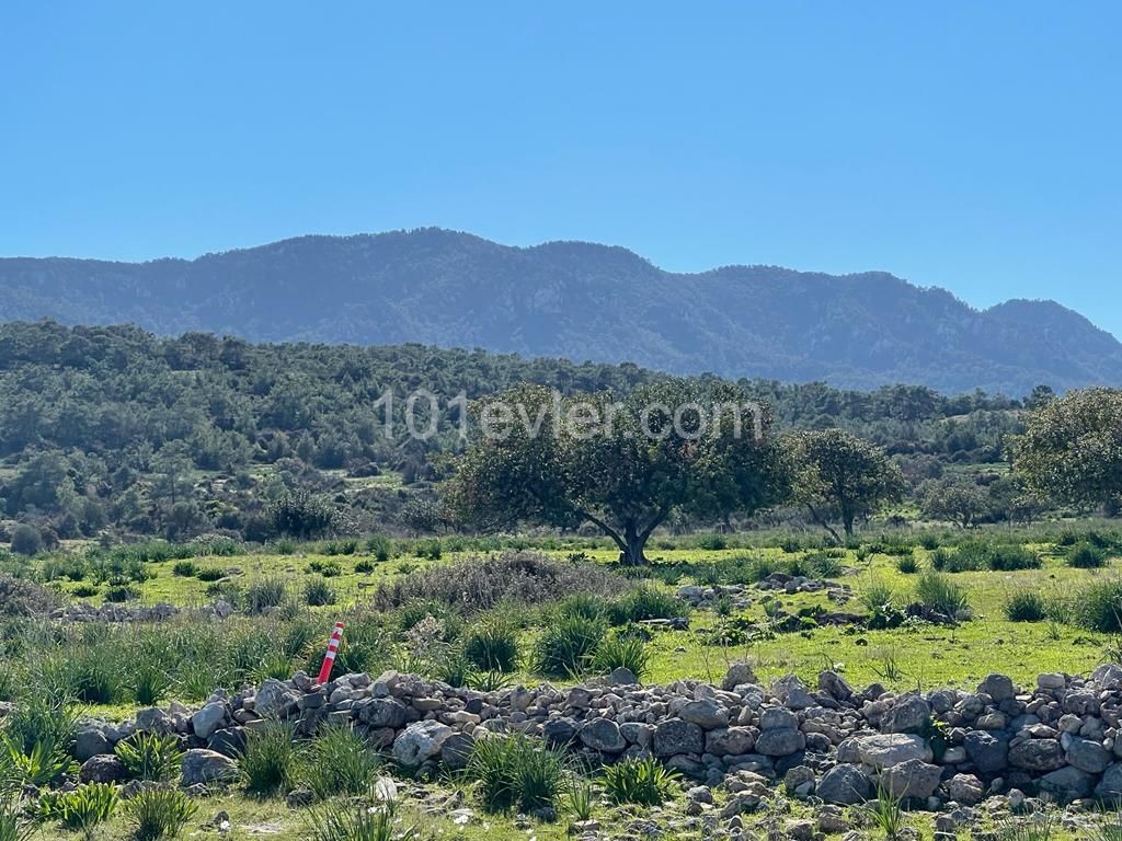 10 Donum Plot of Land in Bahceli