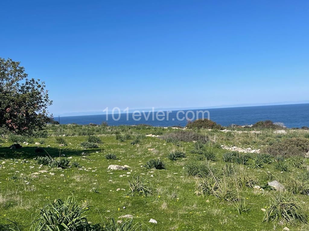 10 Donum Plot of Land in Bahceli