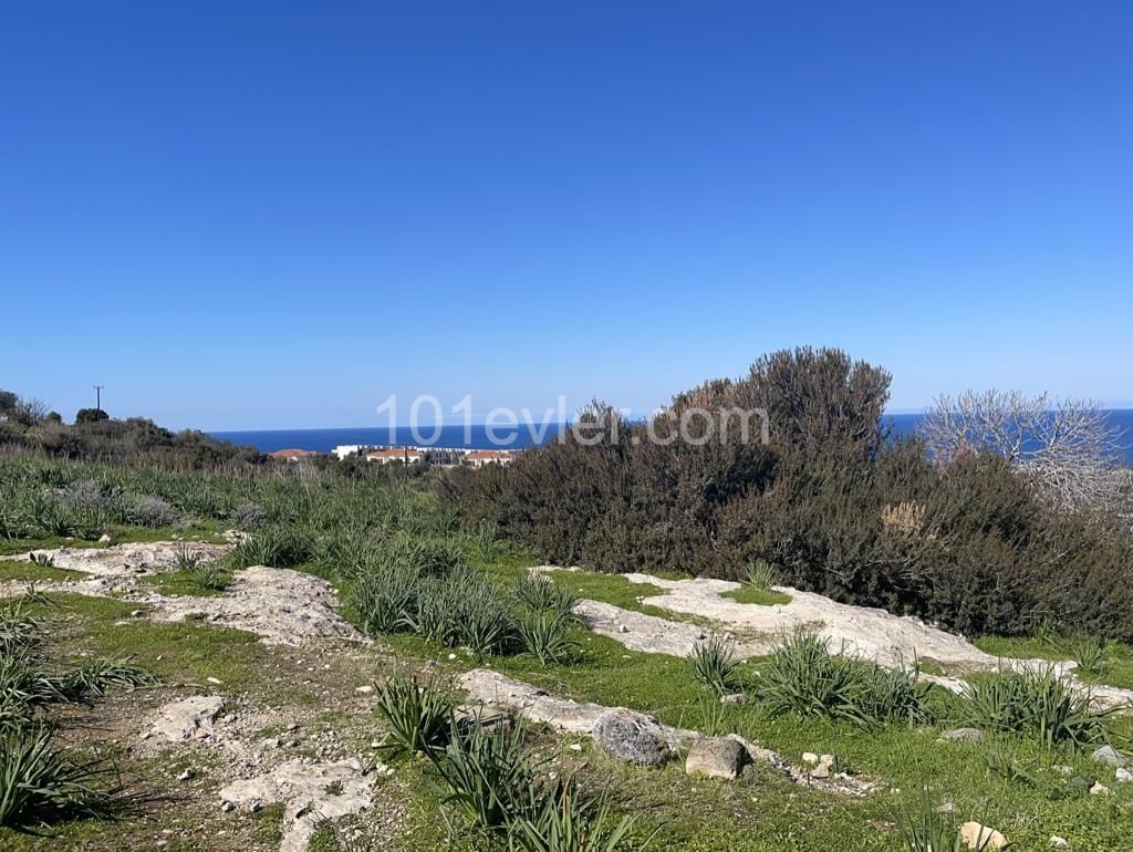 10 Donum Plot of Land in Bahceli