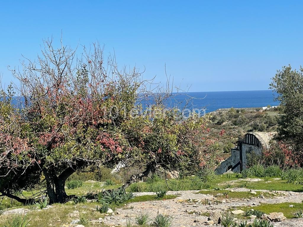 10 Donum Plot of Land in Bahceli