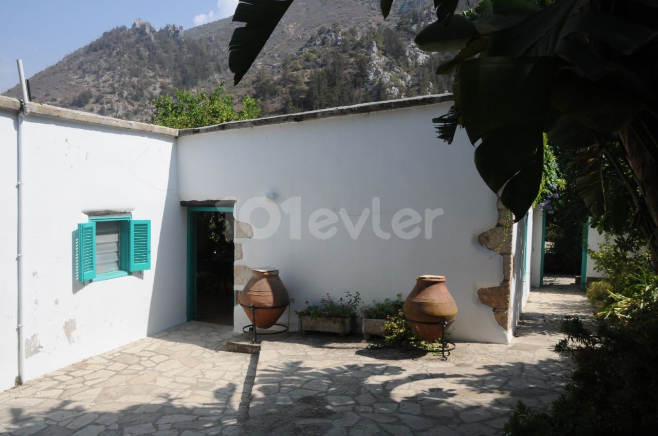 7 Bedroom Mini-Estate in the Heart of Karmi.