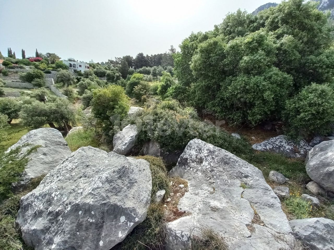 1672 m² Plot Of Land In Karsiyaka With Stunning Sea & Mountain Views - Pre-74 British Title Deed - 100% Build Permission!