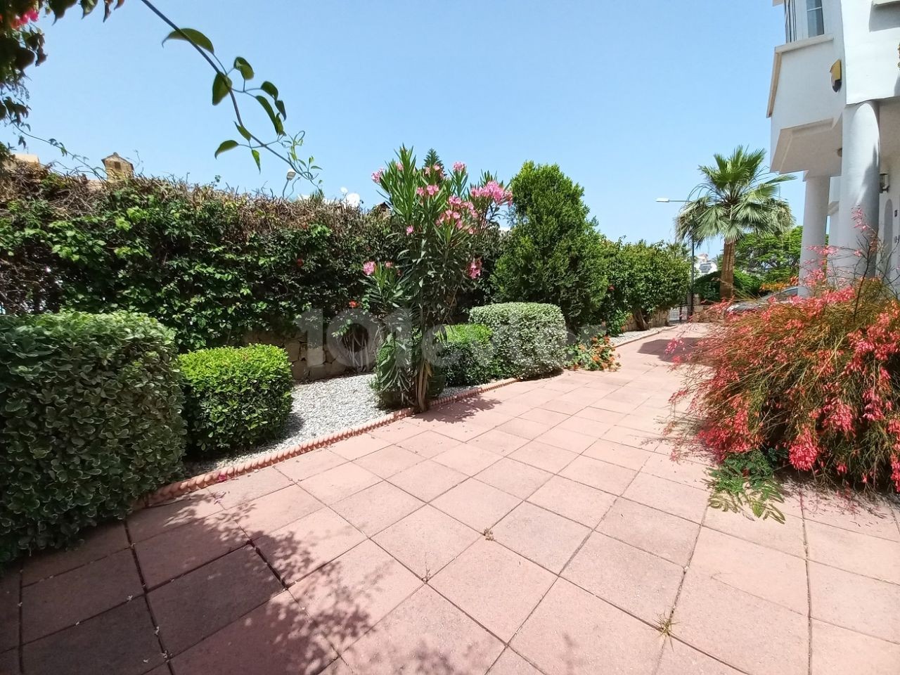 3 bedroom villa with pool for sale in Bellapais