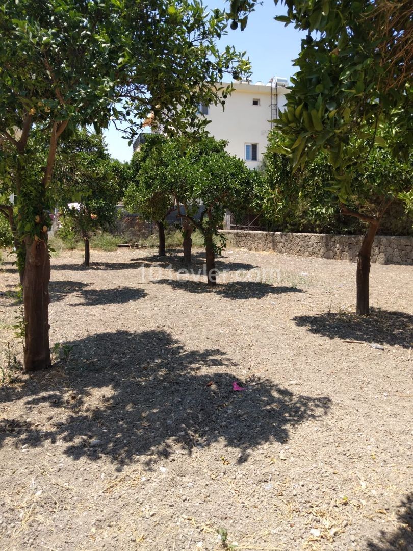 Historisches Dorfhaus zum Verkauf in einem Obstgarten im Zentrum von doganköy ** 