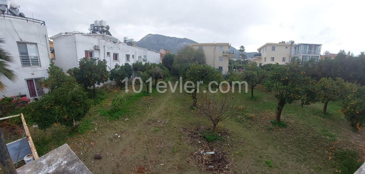 Historical Village House for Sale in the Center of Doğanköy, Inside the Orchard ** 