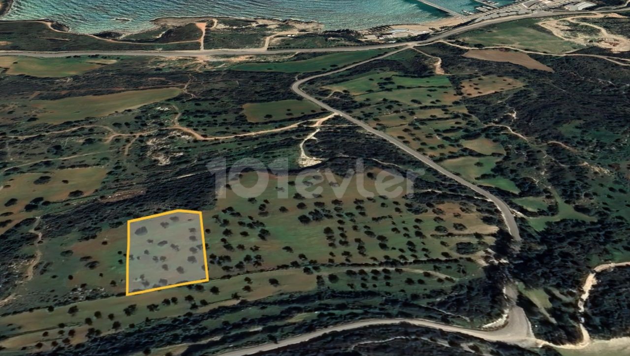 THE GATE IS LOCATED 500 METERS FROM THE MARINA Dec ** 