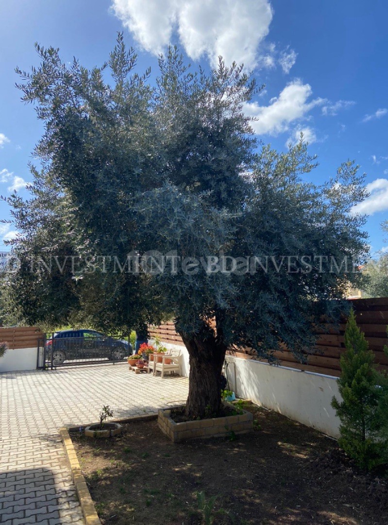 Perfect Location 3+1 dublex Twin Villa with Garden in Zeytinlik, Girne