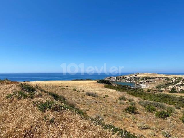 Gorgeous 7 Acres of Land for Sale by the Sea in Hot Springs!