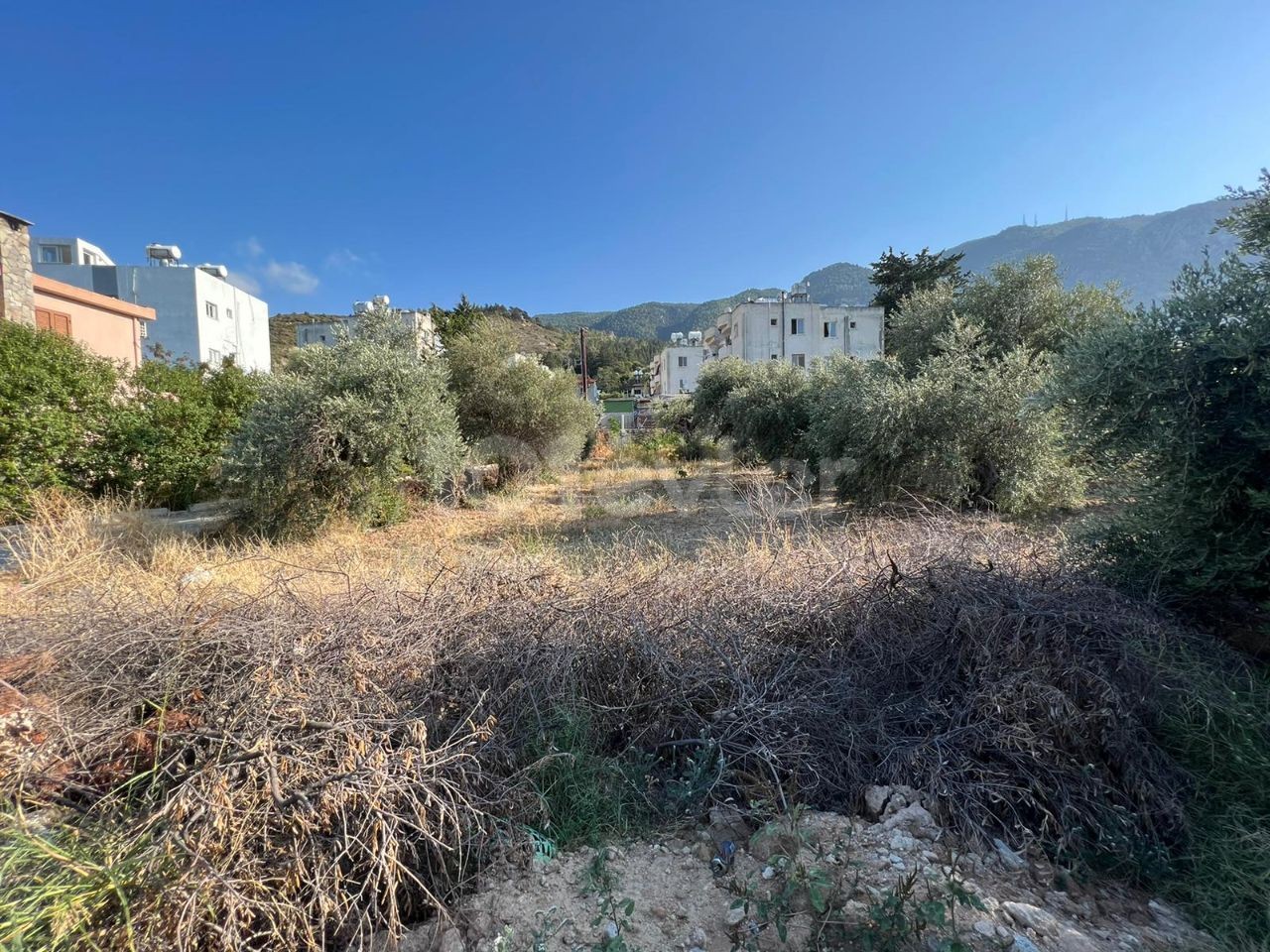 In Exchange for the Floor in the Girne Lapta Deckhouse Land ** 