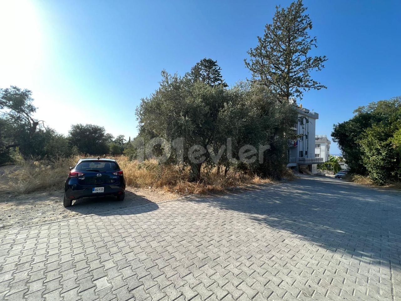 In Exchange for the Floor in the Girne Lapta Deckhouse Land ** 