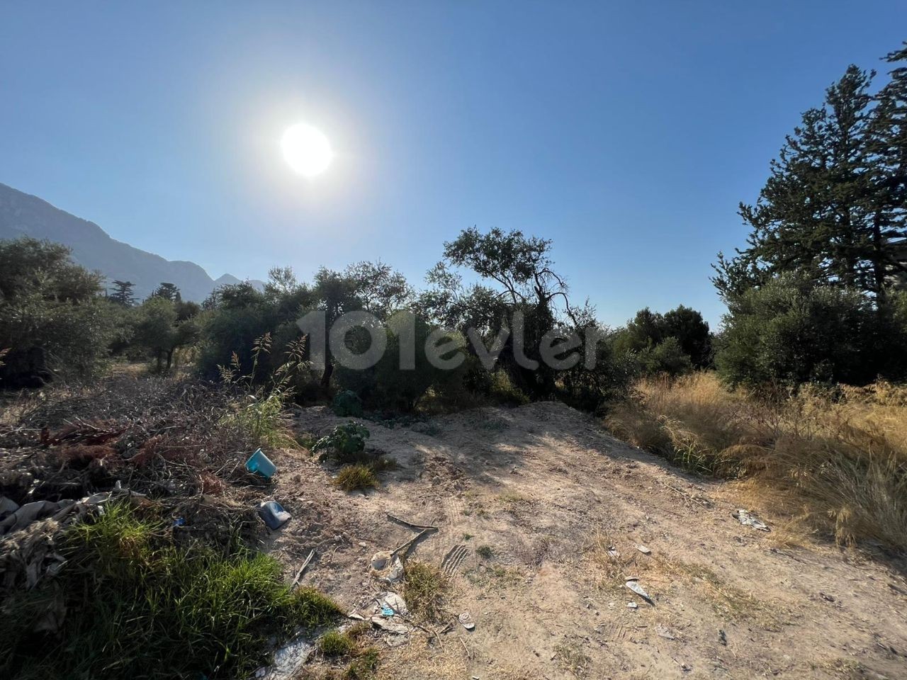 In Exchange for the Floor in the Girne Lapta Deckhouse Land ** 