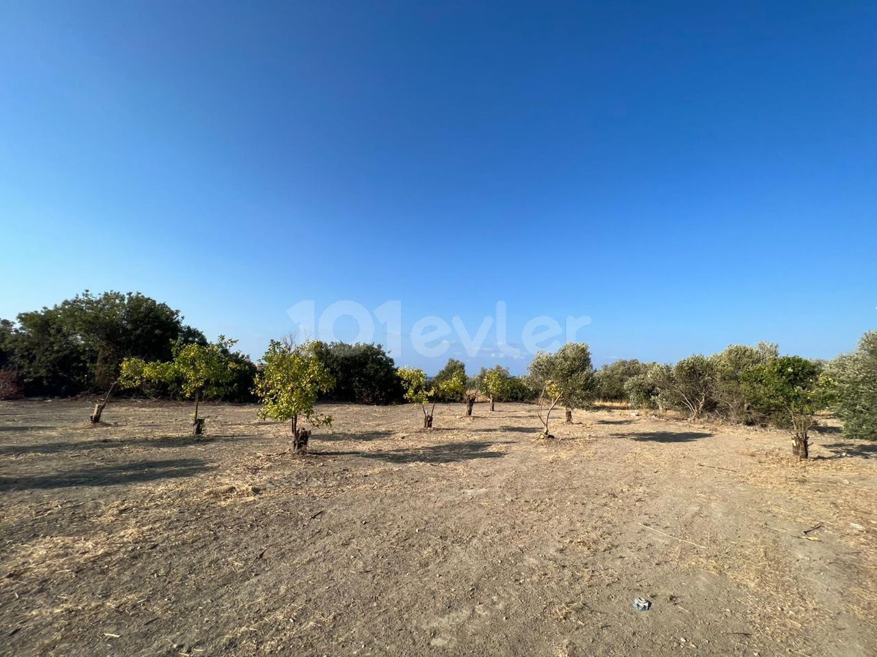 In Exchange for the Floor in the Girne Lapta Deckhouse Land ** 