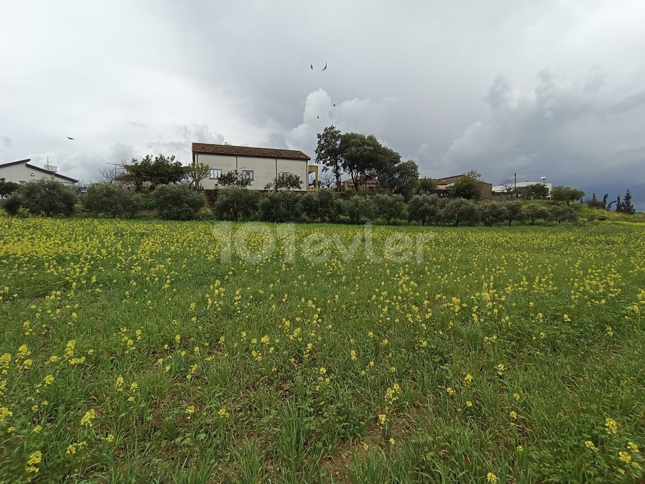 LEFKOŞA MERIC 3 ACRES OF LAND SUITABLE FOR PARCELING OR SITE CONSTRUCTION