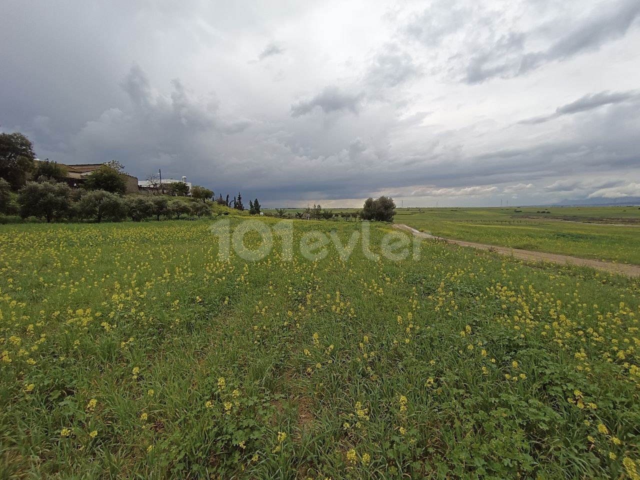 LEFKOŞA MERIC 3 ACRES OF LAND SUITABLE FOR PARCELING OR SITE CONSTRUCTION