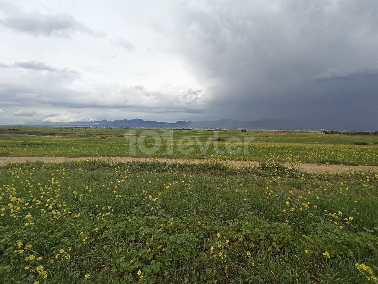 LEFKOŞA MERIC 3 ACRES OF LAND SUITABLE FOR PARCELING OR SITE CONSTRUCTION