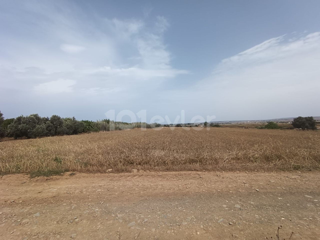 AKÇAY برای فروش میدان جاده روستای بعدی و RED EARTH