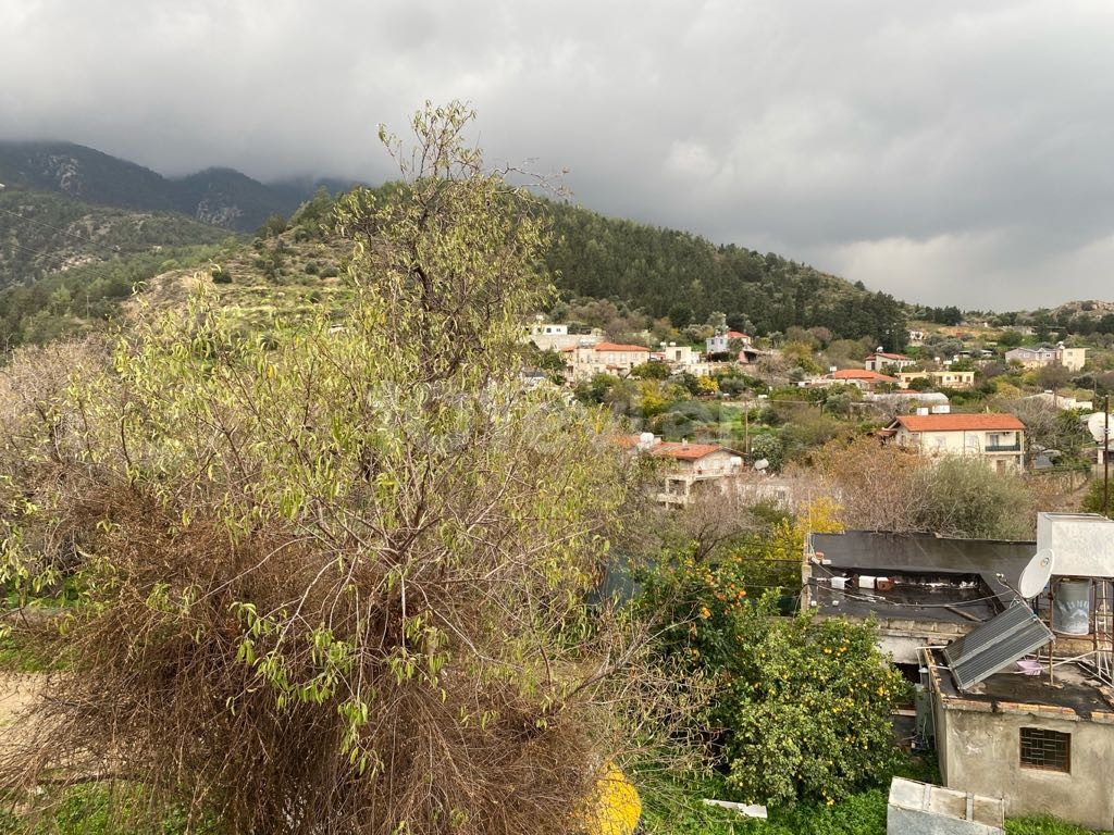 Eben Kaufen in Alsancak, Kyrenia