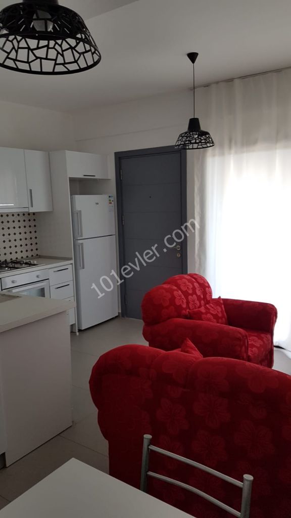 New 2+1 partments for rent in Karaoglanoglu