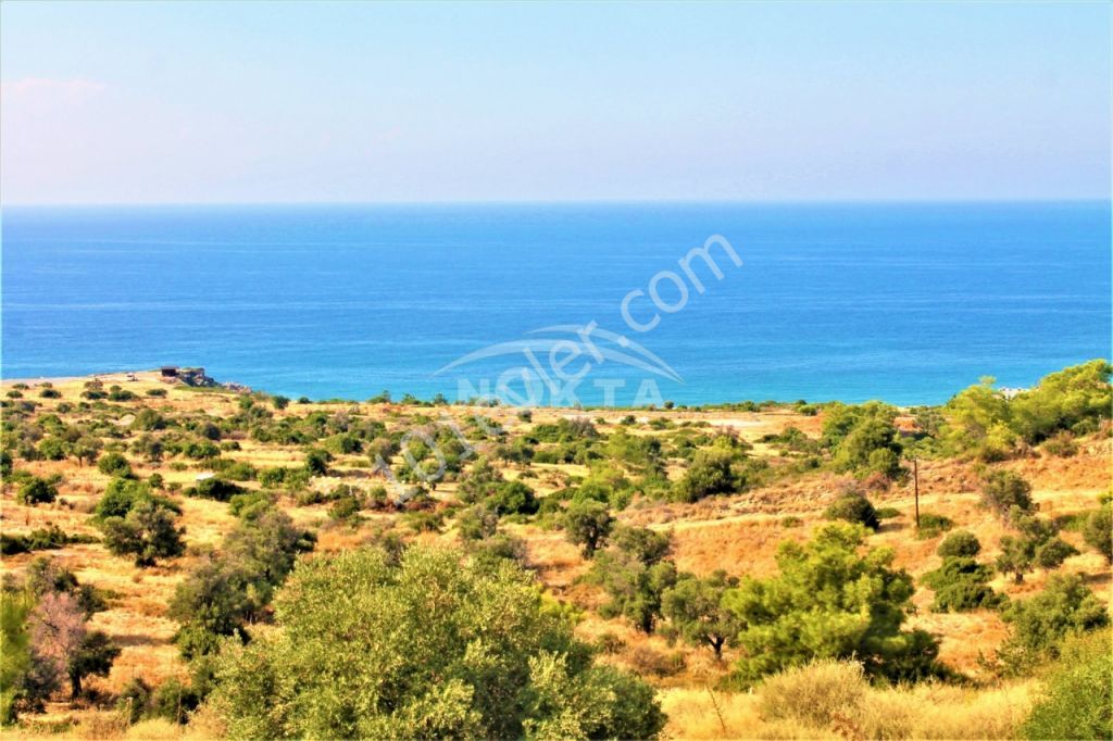 Field For Sale in Çatalköy, Kyrenia