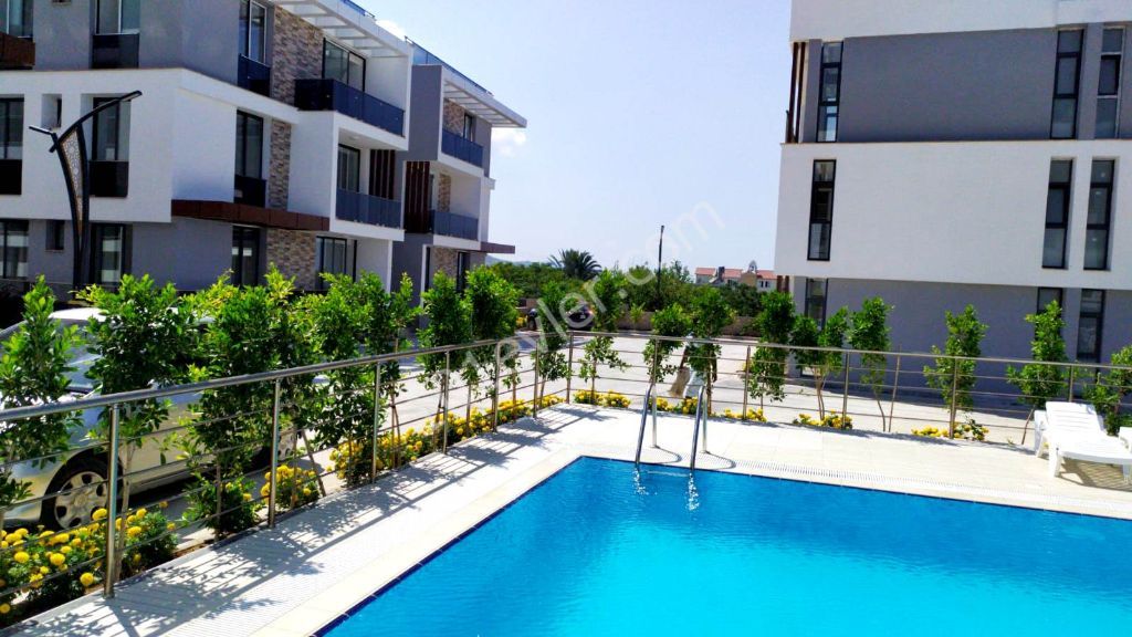 New ready to move apartments in Lapta  