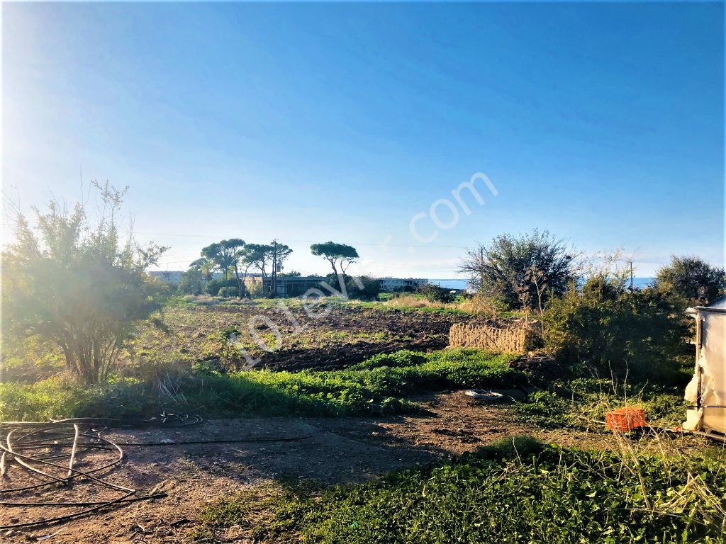 Reduced price...For sale land close to sea .