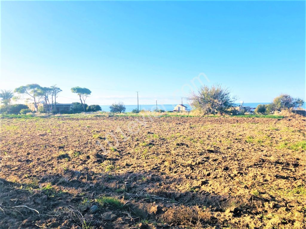 Reduced price...For sale land close to sea .