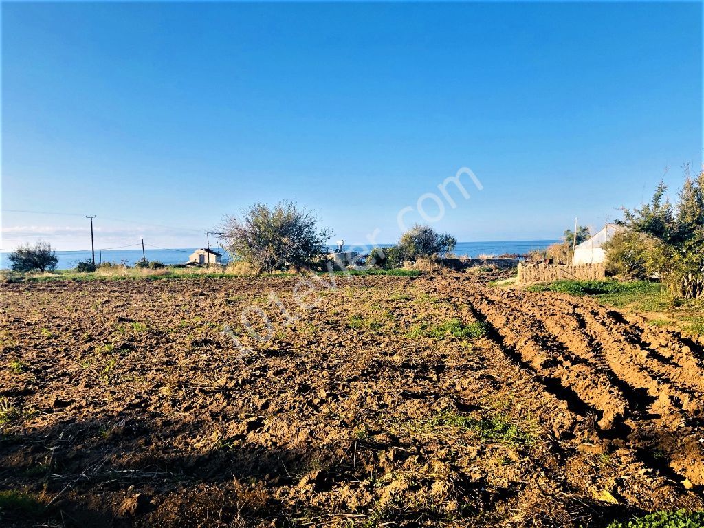 Reduced price...For sale land close to sea .