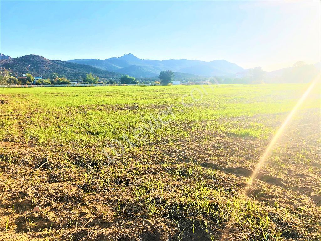 Feld Kaufen in Tatlısu, Famagusta