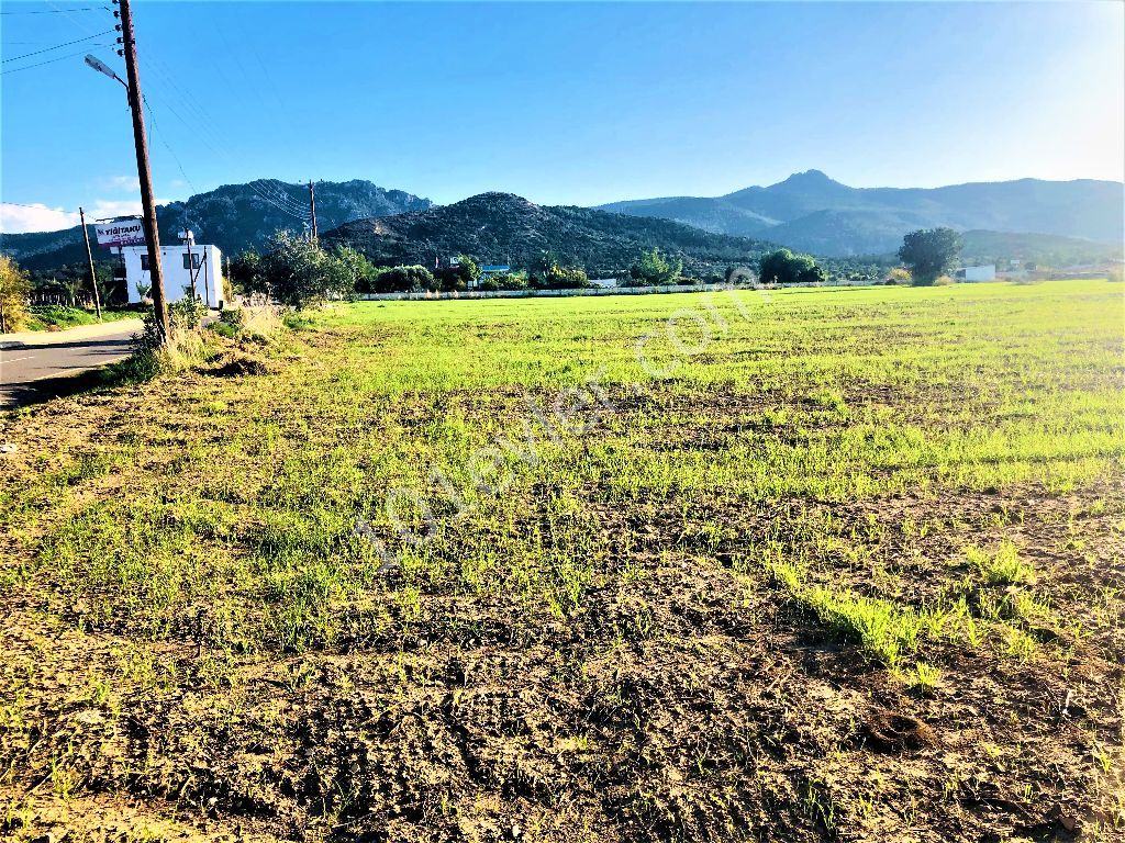 رشته برای فروش in Tatlısu, فاماگوستا